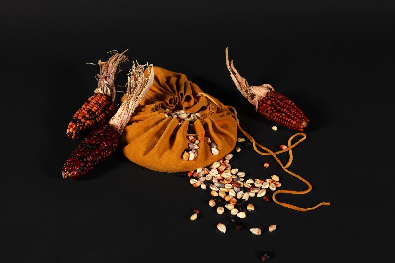 Trois épis de maïs rougeâtres entourent un sac de cuir contenant des grains de maïs séchés.